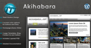 Akihabara WordPress Template