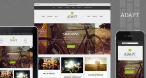 Adapt, ein responsives WordPress Layout