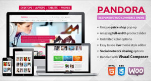 Pandora - Responsive WooCommerce HTML5-Design