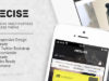 Präzise - Multipurpose Responsive WordPress Vorlage