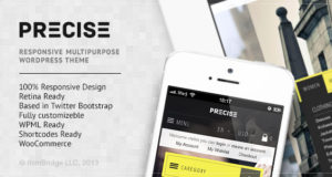 Präzise - Multipurpose Responsive WordPress Vorlage