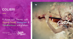 Colibri – WP Thema für beschäftigte Musiker