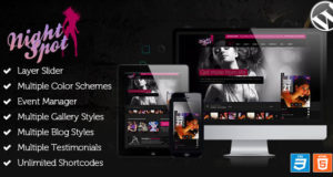 Night Spot – Responsives WordPress Vorlage des Nachtklubs