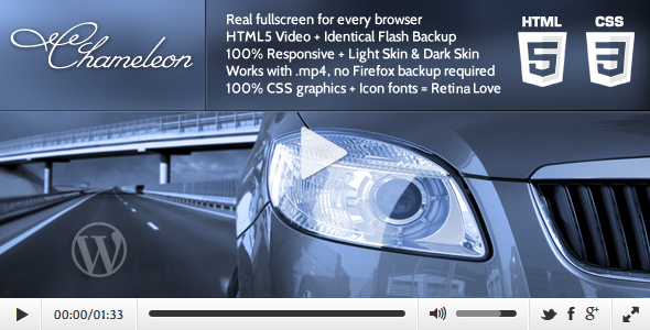 WordPress Video Player