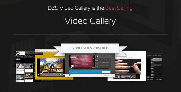 DZS Video Gallery ist die meistverkaufte Video-Galerie