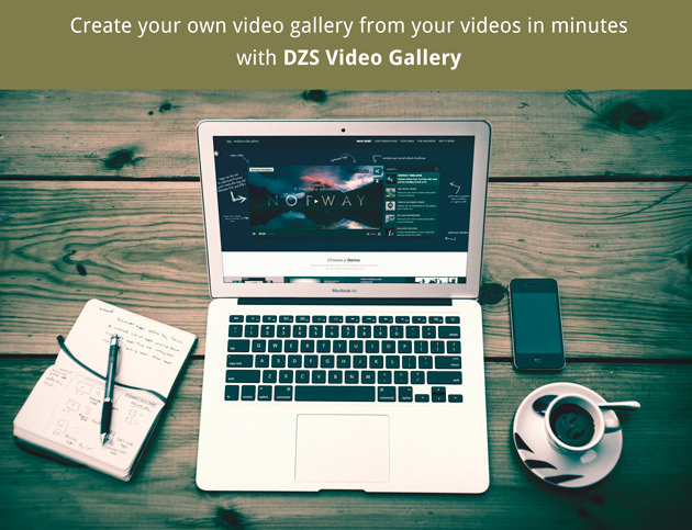 Erstellen Sie in wenigen Minuten Ihre eigene Videogalerie