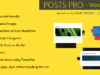 Beiträge Pro - WordPress Plugin