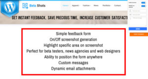 BetaShot – Feedback Form mit Screenshot für WordPress