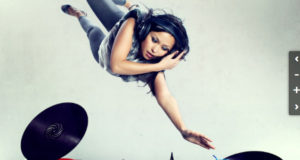 Bild Zoom Pan WordPress Plugin