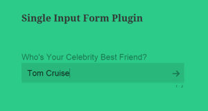 CPS Single Eingabeformular