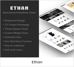 Ethan - Responsive WooCommerce WordPress Template