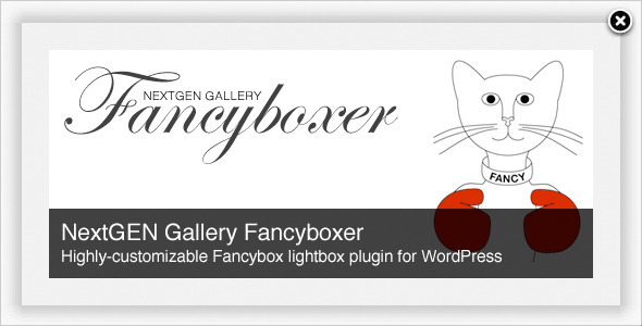 NextGEN Galerie Fancyboxer