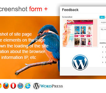 Feedback screenshot form + für WordPress