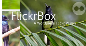 FlickrBox - WordPress Flickr.com Galerie + Widget
