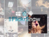FlickrShow 2.0 für WordPress