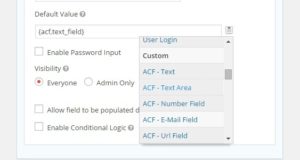 Gravity Forms – ACF-Zusammenführungs-Tags