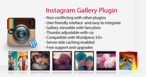 Instagram Galerie - WordPress Plugin