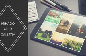 Mikado WordPress Fotogalerie