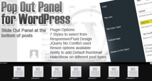Pop-Out-Panel für WordPress
