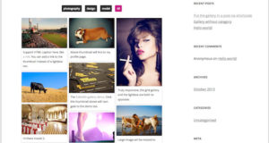 Responsive Pinterest Grid Galerie WordPress Plugin