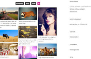 Responsive Pinterest Grid Galerie WordPress Plugin