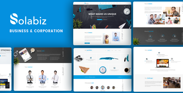 Solabiz - Responsives WordPress-Template für Unternehmen und Unternehmen (Consult, Agency, Firm) 