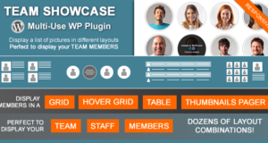 Team Schaufenster – WordPress Plugin