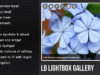 WordPress Lightbox Galerie