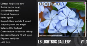 WordPress Lightbox Galerie