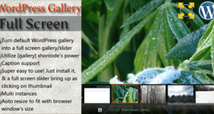 WordPress Vollbild-Galerie