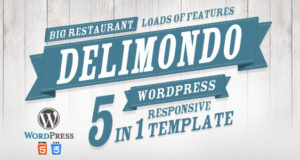 Responsives WordPress Vorlage von Delimondo 5 Stile