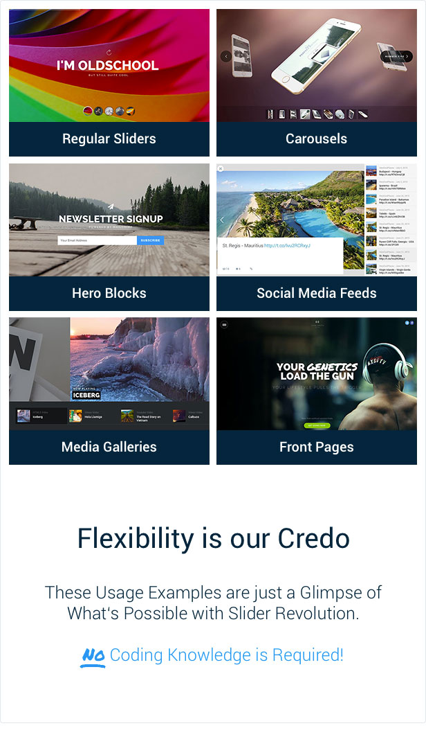 Slider Revolution Flexibilität