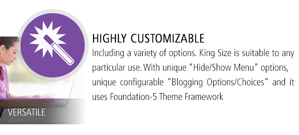 In hohem Grade kundengerechte WordPress-Schablone