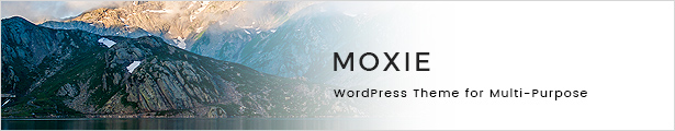 MOXIE - Responsives Mehrzweck-WordPress-Design - 9