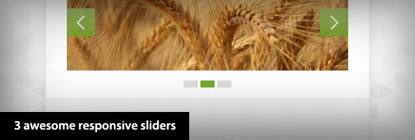 3 tolle Responsive Slider