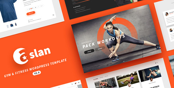 Furion - Creative Blog & Portfolio WordPress-Template