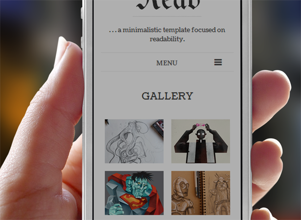 Premium WordPress Template