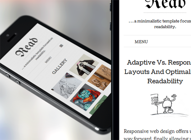 Premium WordPress Template