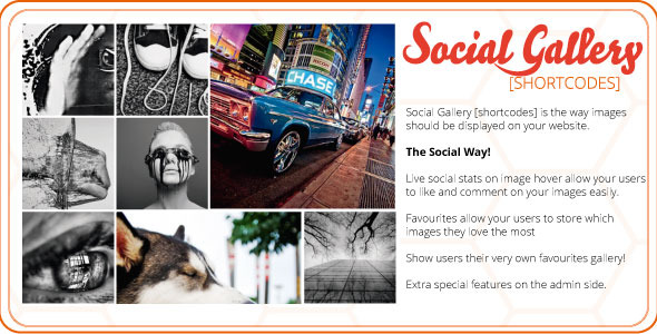 Social Gallery Shortcodes WordPress Plugin