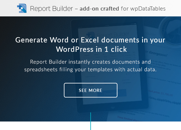 Der Report Builder ist ein Word DOCX- und Excel XLSX-Generator für WordPress
