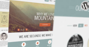 Secundo Responsive Portfolio WP Thema