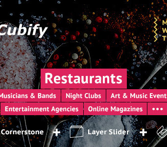 Kubifizieren | Mehrzweck-Unterhaltung WordPress Vorlage