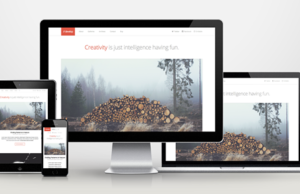 Entwickeln – Responsives WordPress HTML5 / CSS3 Template