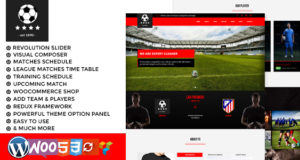 Fußballverein Fußball WordPress Layout