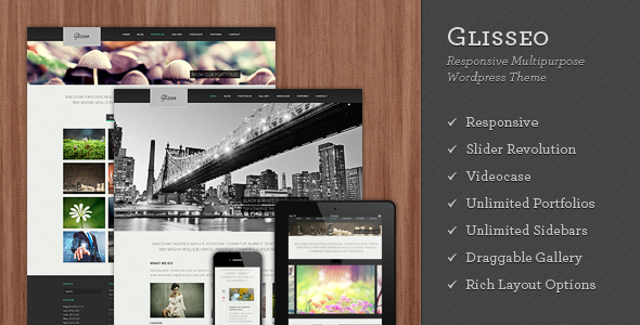 Rufio - 2 in 1 Responsive WordPress-Layout