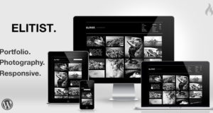 Elitist – Responsive Portfolio WP Thema