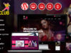 Night Club - Eine Seite WordPress Layout für Partys