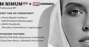 MINIMUM – Professionelles WordPress Vorlage