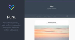 Reine – Responsive Blogging WordPress Template