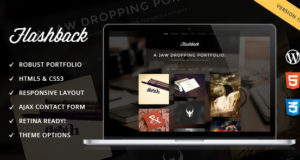 Flashback – Ein Kiefer-fallendes Portfolio WP-Thema